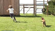 Vodní záchranáři mají nového parťáka: štěně Chesapeake Bay retrievera Queeny.