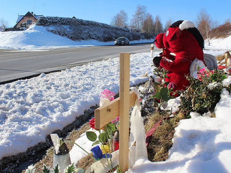 Tři mladé životy si vyžádala listopadová nehoda osobního auta s nákladním vozem a dodávkou u Hořic na Šumavě na hlavním tahu z Českého Krumlova do Černé v Pošumaví.