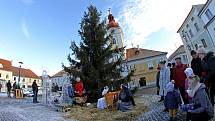 Příchod tří králů do Kaplice. Opět nechyběla živá zvířata včetně velblouda.