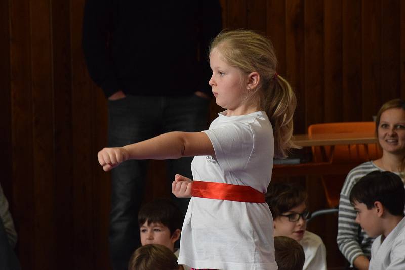 Mikulášský turnaj, poslední z letošní série turnajů Jihočeského svazu japonského karate, pořádal českokrumlovský Shotokan karate klub.