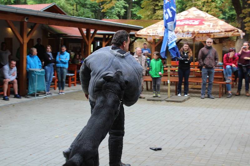 Podruhé se v místním amfiteátru konal festival Milifest, jehož cílem je podpora talentovaných dětí. Festival vznikl před několika lety na severní Moravě a časem expandoval do různých míst České republiky, což je podle organizátorů i jeho dalším cílem.