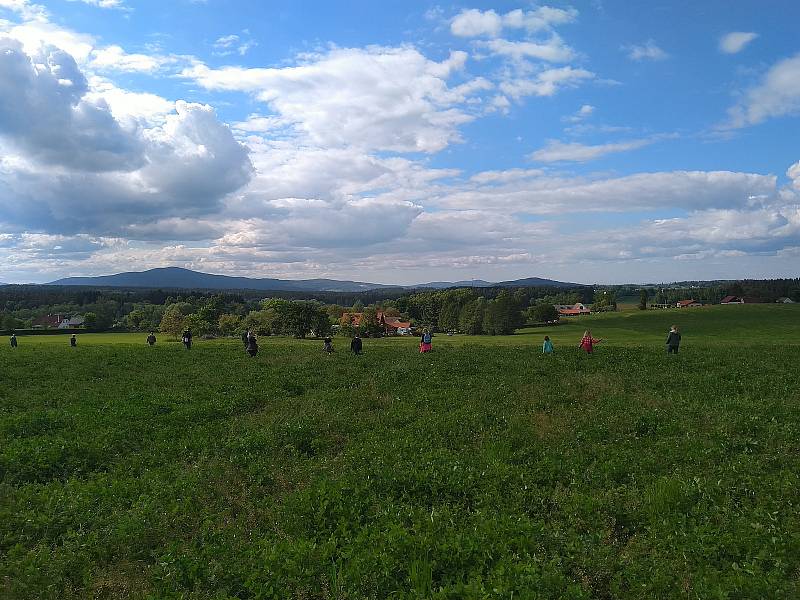 Ročně v České republice zbytečně při traktorovém sečení umírá asi 60 tisíc srnčat.