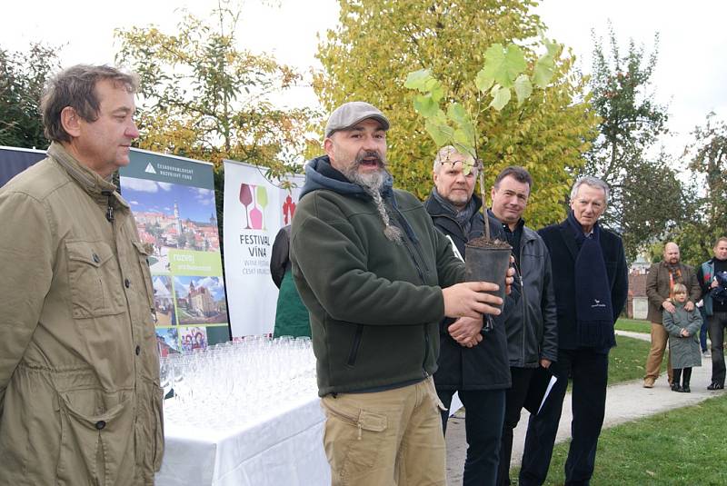 Slavnostní sázení vinné révy na terase zahradního domku - ateliéru Egona Schieleho.