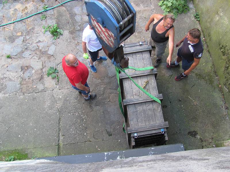 Dvouletá medvíďata se po příjezdu z olomoucké zoo zabydlují na krumlovském zámku.