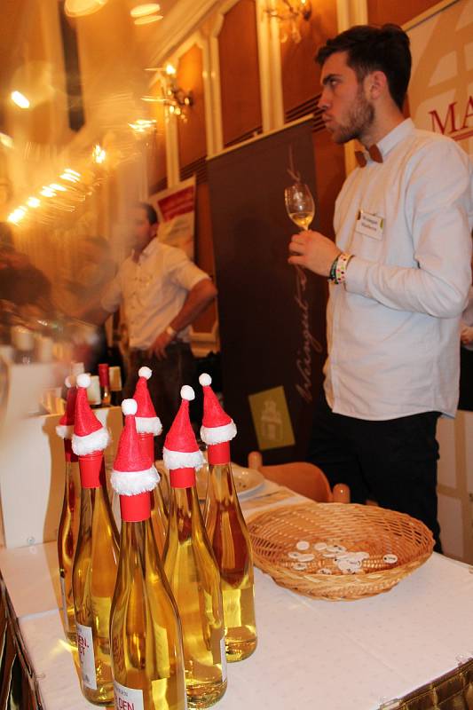 Návštěvníci i vinaři si Zámeckou slavnost vína pochvalovali.