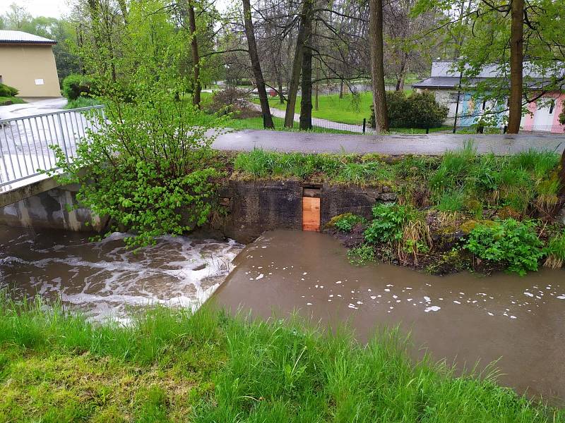 Malše a Rožnovský potok v Kaplici 13. 5. 2021.