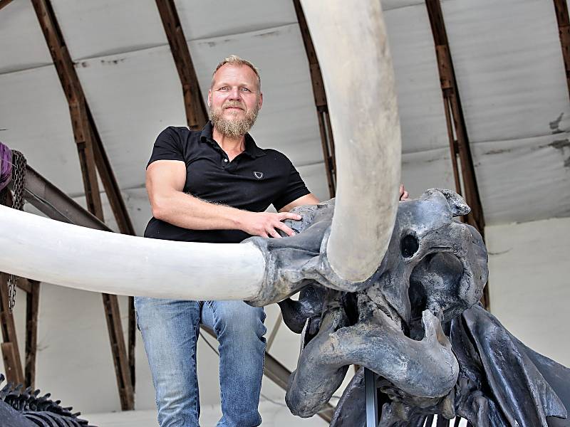 Model kostry pravěkého mamuta připravoval pro hlubockou ZOO sochařský tým Zdeňka Chmelaře od ledna do června 2018.