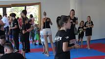 V krumlovském Skleníku sídlí Sportovní klub karate Český Krumlov .