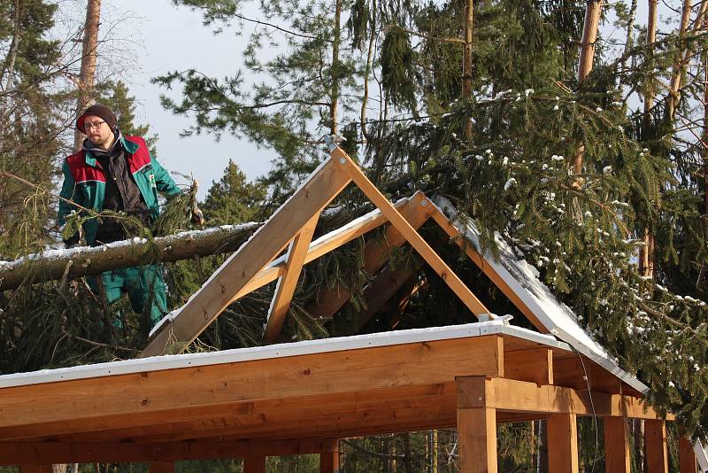Dobrovolníci likvidovali škody v lesní školce nad Třísovem, kterou v pondělí 10. února 2020 zdemolovala vichřice Sabine.