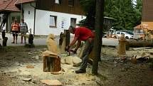 Při slavnostech dřeva na Lipně se dřevosochaři pěkně zapotili. Vedro bylo úmorné. Letošní slavnosti se konaly ve znamení ptactva.