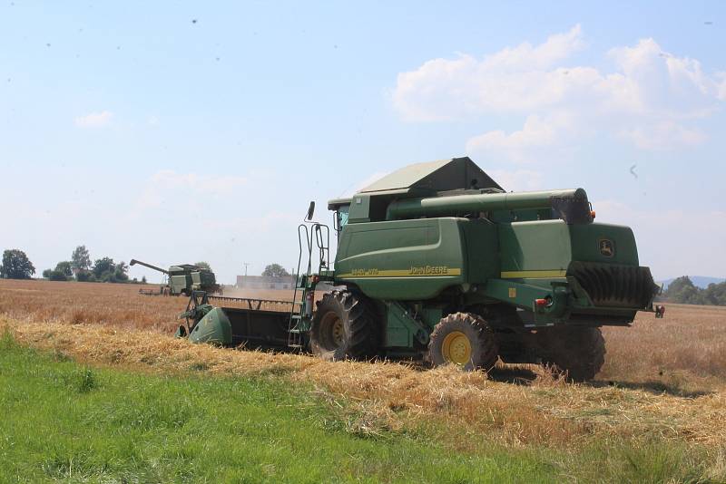 I snížená sklizeň ale podle expertů dokáže pokrýt spotřebu v Česku.