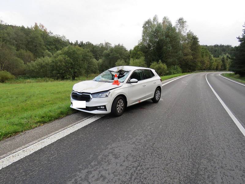 Škoda Fabia po střetu s jelenem na silnici I/39, hlavním tahu z Českého Krumlově k Lipnu.