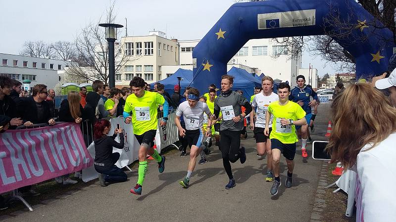 Start studentského maratonu v Českých Budějovicích.