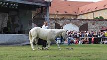 Drezúrní vystoupení s koňmi v Pivovarské zahradě v rámci slavností růže.