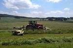 Ročně v České republice zbytečně při traktorovém sečení umírá asi 60 tisíc srnčat.