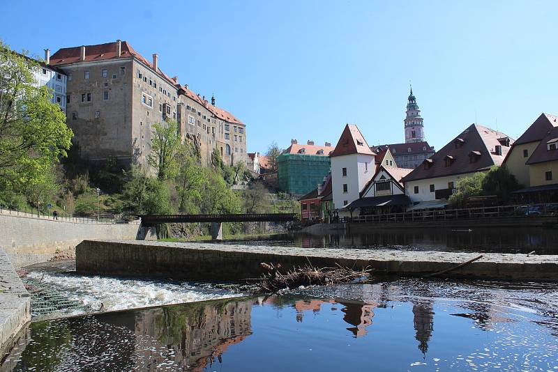 Kachna divoká zahnízdila v Českém Krumlově na šlajsně pod Plášťovým mostem.