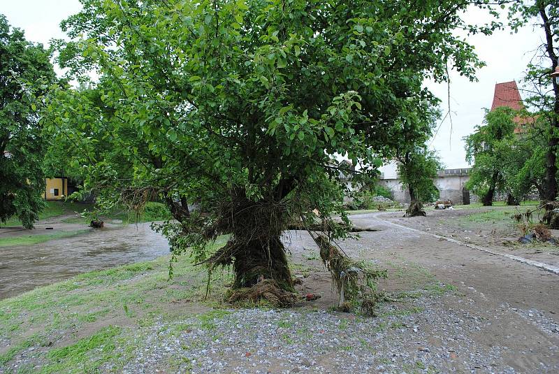 Povodně v Českém Krumlově v roce 2013. Ze břehů se vylila Polečnice, zahrozila i Vltava v centru. Pod vodou skončily hospodské zahrádky i auta.