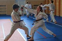 Mladí členové českokrumlovského Shotokan karate klubu se zúčastnili letní školy karate v Hořicích na Šumavě.