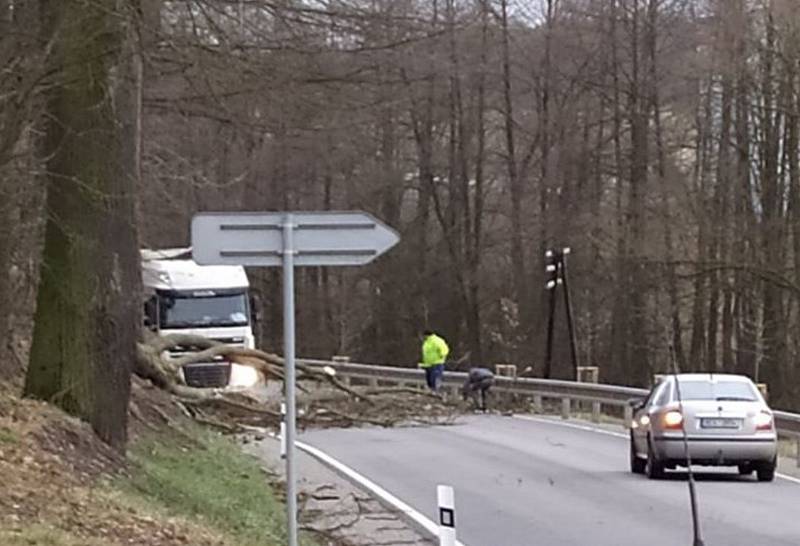 Strom přes cestu spadl i mezi Kájovem a Křenovem na Českokrumlovsku.