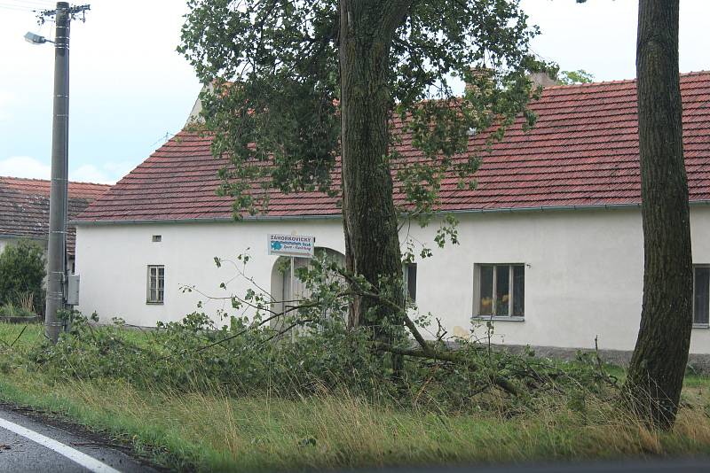 Stromy popadaly na železniční trať, například ve Velešíně Nádraží, strom spadl na stavení v Markvarticích, stromy ale padaly v celém regionu. V parcích je po stromy nastláno větvemi, jako třeba na návsi v Mojném.