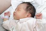 Ariunzul z Benešova nad Černou má od 17. března 2014 svého druhého potomka. Holčička Ariun se narodila pět minut po půl šesté ráno s mírami 50 centimetr a 3700 gramů.