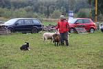 Farm Food Festivalu letos nevyšlo počasí, tak snad příští rok.