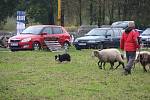 Farm Food Festivalu letos nevyšlo počasí, tak snad příští rok.