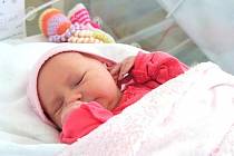 Prvním Přerovanem, který přišel letos na svět ve zdejší porodnici, je malá Karolínka. Narodila se 2. ledna krátce po půl dvanácté dopoledne, vážila 2 976 gramů a měřila 49 centimetrů.