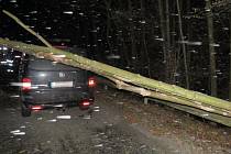 Na auto u Horní Újezdu spadl strom