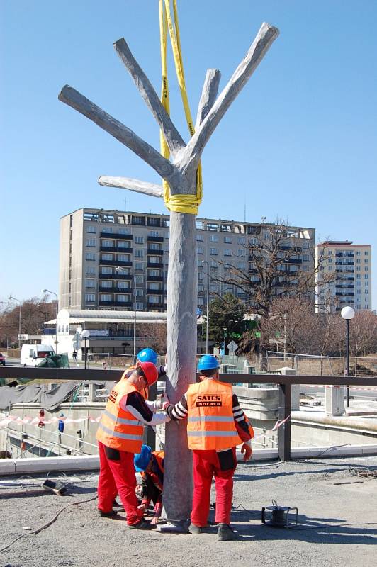 Stavba Tyršova mostu - osazování betonových stromů