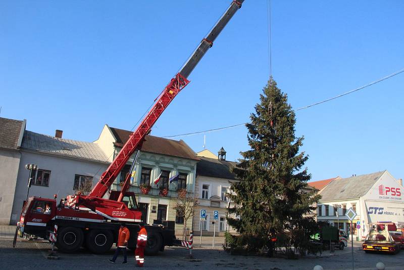 Vánoční strom přivezli na Masarykovo náměstí v Přerově pracovníci technických služeb. Letos putuje do centra města z Jižní čtvrti III.