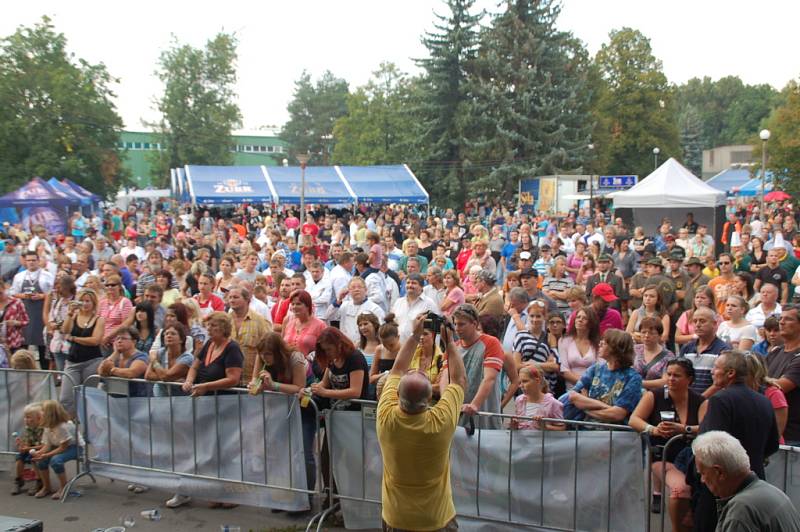 O hudební zážitek se postaraly během sobotního Zubrfestu na přerovském výstavišti kapely Support Lesbiens a Mňága a Žďorp (na snímku), které byly hlavními hvězdami odpoledního a večerního programu.
