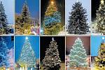 Nejkrásnější vánoční strom 2023 Hranicka a Přerovska.