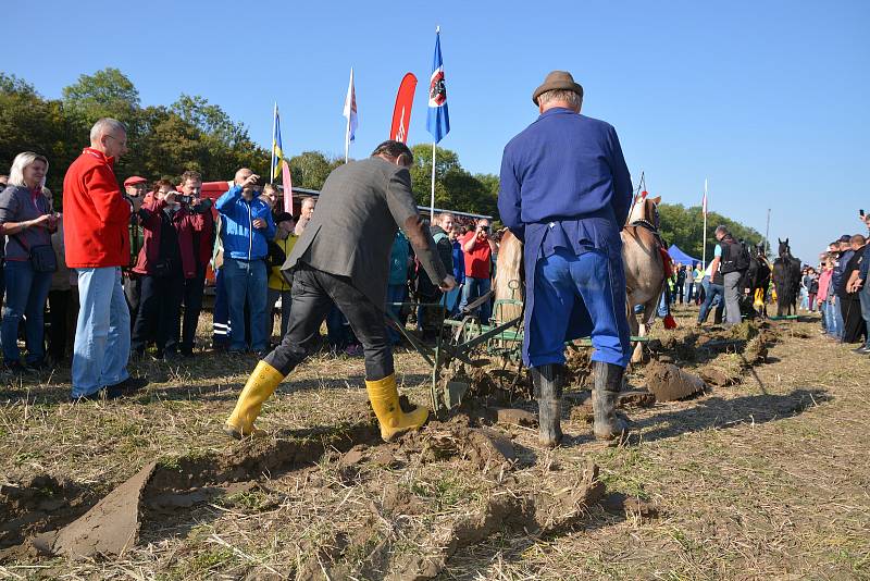 Pole u Prosenic na Přerovsku se stalo v sobotu dějištěm 44. Mistrovství České republiky v orbě, kterého se zúčastnily na tři desítky borců ze všech koutů naší země. Soutěžilo se v několika disciplínách a slavnostního rozorání brázdy se zhostil ministr zem