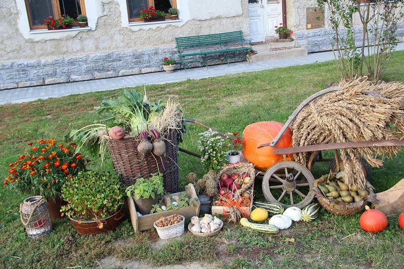 Nápadité aranže z květin, výpěstků a plodů zahrady před domy místních obyvatel Hradčan na Přerovsku