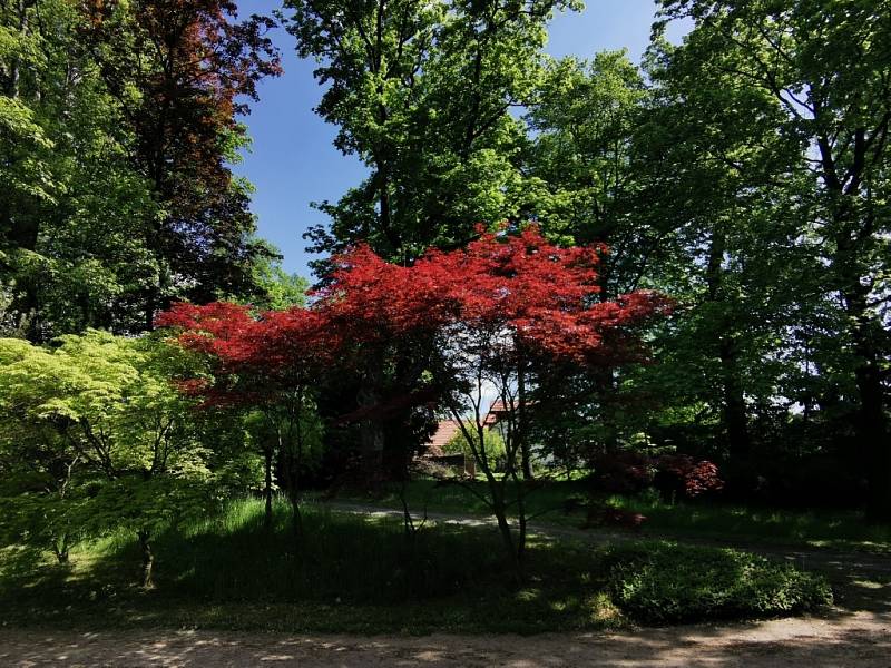 Zámek a park Lešná u Valašského Meziříčí.