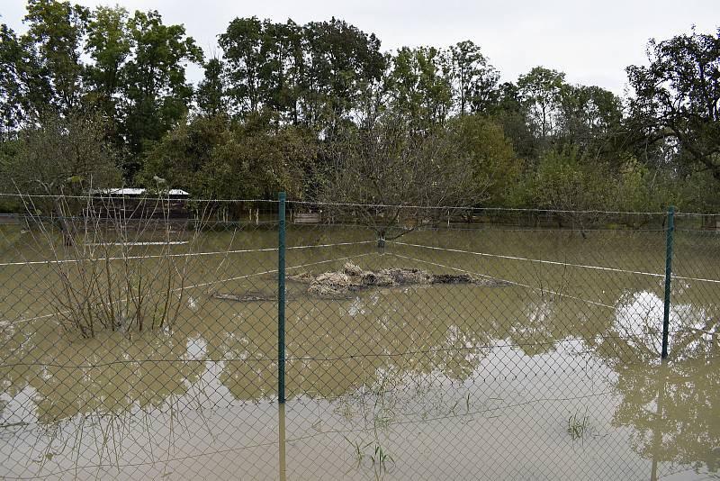 Rozvodněná Morava v Kojetíně, zaplavila třeba i fotbalové hřiště nebo loděnici. 15.10. 2020