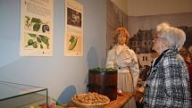 Vernisáž výstavy Šejdíři a šizuňkové v Muzeu Komenského v Přerově