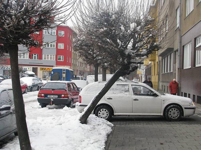 Tíha sněhu vychýlila i stromy v Přerově