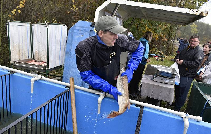 Výlov Choryňského velkého rybníka přilákal jako každoročně davy lidí. 30.1.0 2022