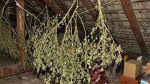 Drogy, které našli kriminalisté při dopadení tří pachatelů na Přerovsku, byly nalezeny i na netradičních skrýších - na mražáku nebo mezi harampádím.