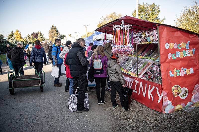 Výlov Hradeckého rybníka v Tovačově. 16. října 2021