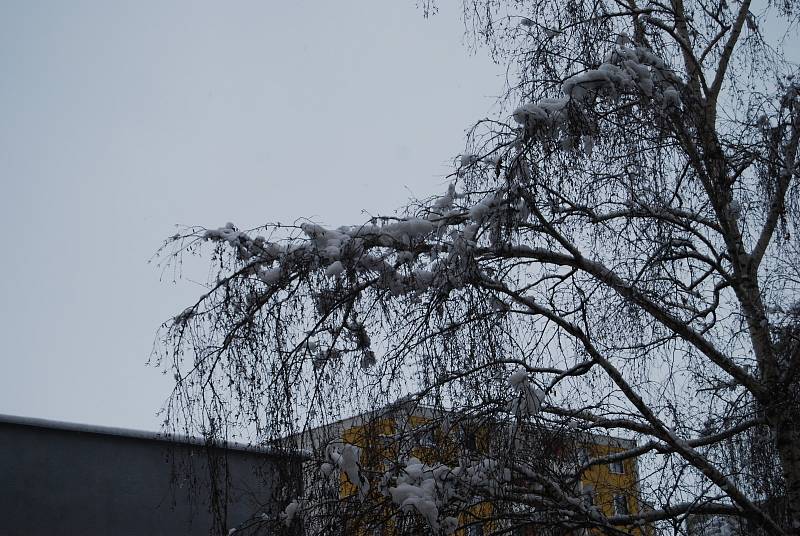 Sněhová nadílka v Přerově - 4. 2. 2019