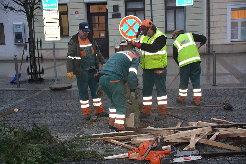 Kácení vánočního stromu na náměstí v Přerově