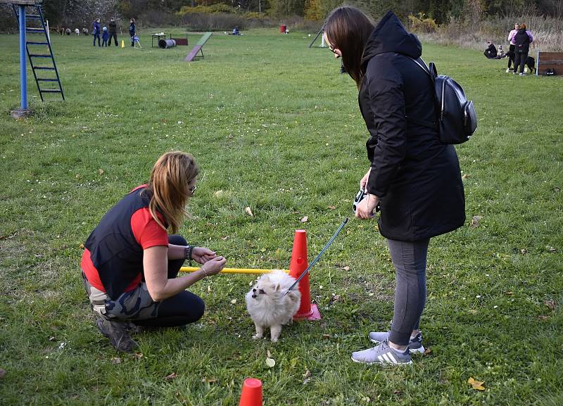 Páteční oslavy 50letého výročí založení Kynologického klubu v Tovačově. 22.10. 2021