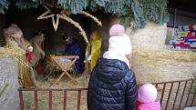 Vánoční krmení koní v areálu Střední školy zemědělské v Přerově