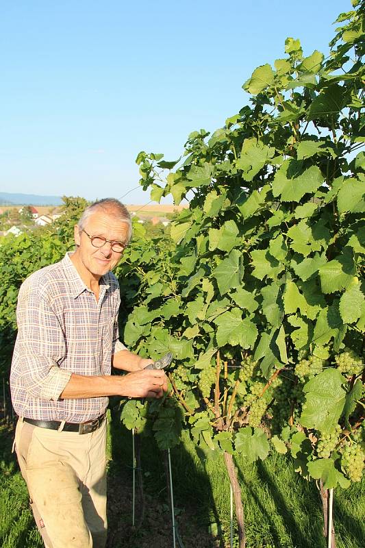 Vladimír Matela vybudoval společně se svou manželkou rodinné vinařství v Sobíškách. Vinnou révu zde pěstuje na rozloze půl hektaru.