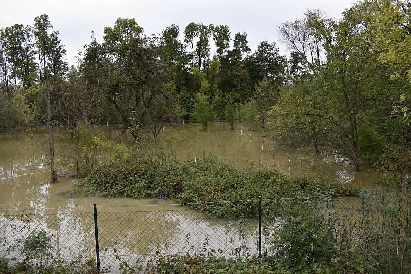 Rozvodněná Morava v Kojetíně, zaplavila třeba i fotbalové hřiště nebo loděnici. 15.10. 2020