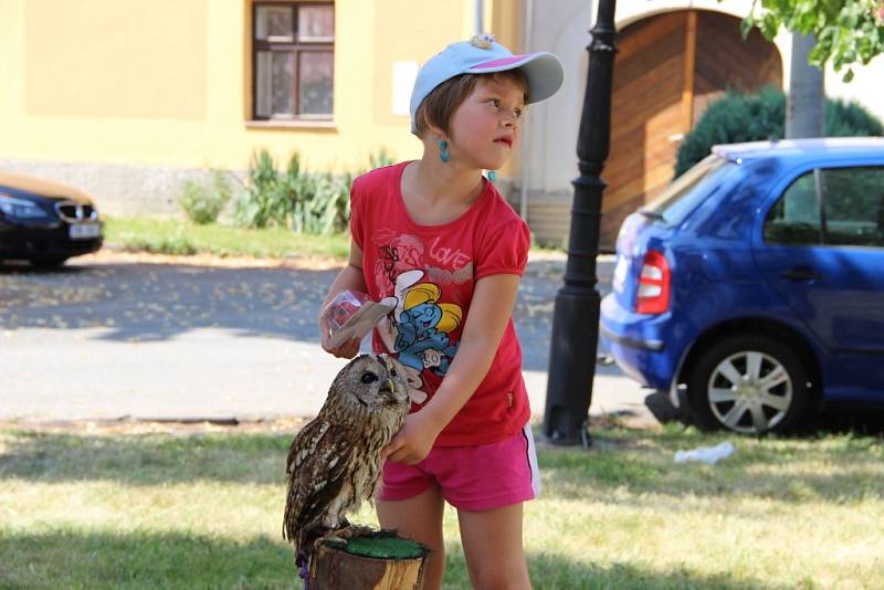 Na tradiční Anenské pouti v Drahotuších se představil jak místní divadelní soubor Tyl, tak členové studia Bez kliky, u kterých si lidé mohli vyzkoušet výrobu ručního papíru, ražbu mincí nebo střelbu z palných zbraní.