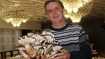 V Přerově začíná v pátek dvacátý ročník tradiční výstavy hub. Přerovský klub Teplo, kde se tato akce koná, se návštěvníkům otevře v pátek 22. a v sobotu 23. září, a to v 9 hodin.